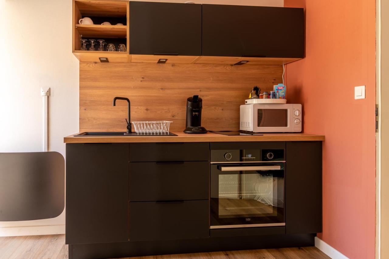 Appartement Cosy Avec Jardin Au Centre Historique De Selestat & Proche Europa-Park Kültér fotó